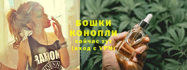сатива Россошь