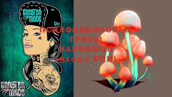 бошки Абаза