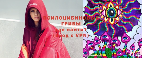 бошки Абаза
