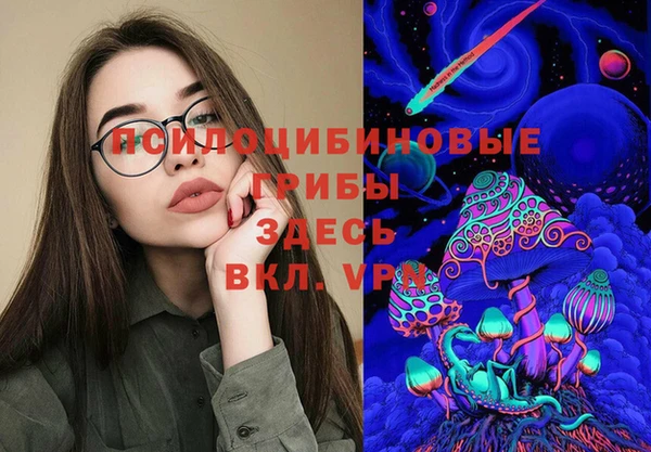 бошки Абаза