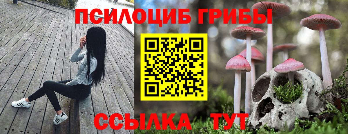 Псилоцибиновые грибы MAGIC MUSHROOMS Каменск-Шахтинский