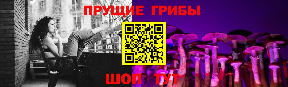 Каменск-Шахтинский  Псилоцибиновые грибы Psilocybine cubensis  Вход с VPN  Галлюциногенные грибы Cubensis 